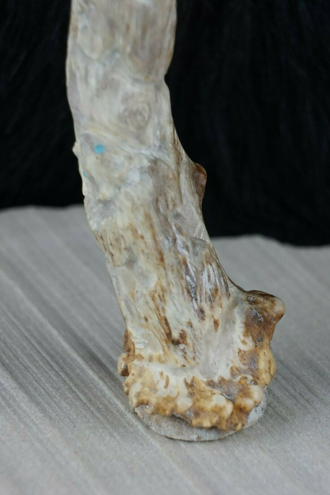 Bear Zuni Fetish Carving - Derrick Kaamasee - High Lonesome Trading