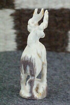 Deer Zuni Fetish Carving - Jerrold Lahaleon - High Lonesome Trading