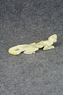 Lizard Zuni Fetish Carving - Ben Kamaasee