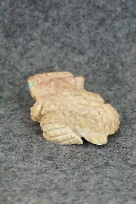 Horned Toad Zuni Fetish Carving - Jonas Hustito