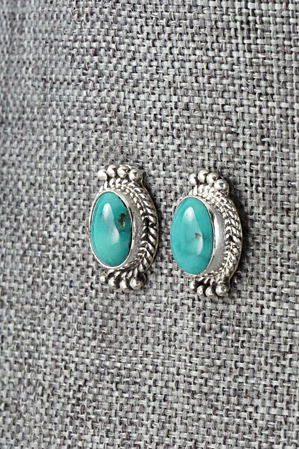 Turquoise & Sterling Silver Earrings - Jan Mariano