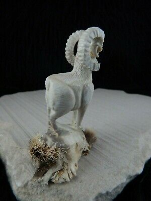 Ram Zuni Fetish Carving - Garrick Weeka - High Lonesome Trading