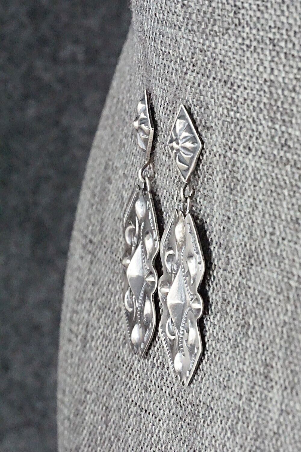 Sterling Silver Earrings - Terry Charlie