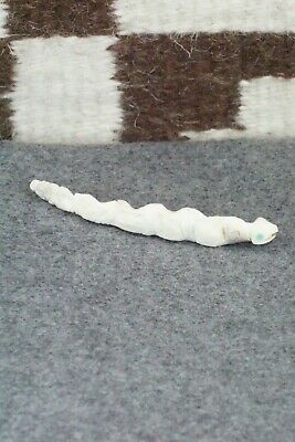 Snake Zuni Fetish Carving - Allison White