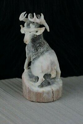 Deer Zuni Fetish Carving - Lewis Malie Jr - High Lonesome Trading