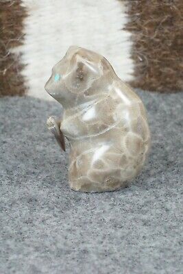 Bear Zuni Fetish Carving - Daphne Quam