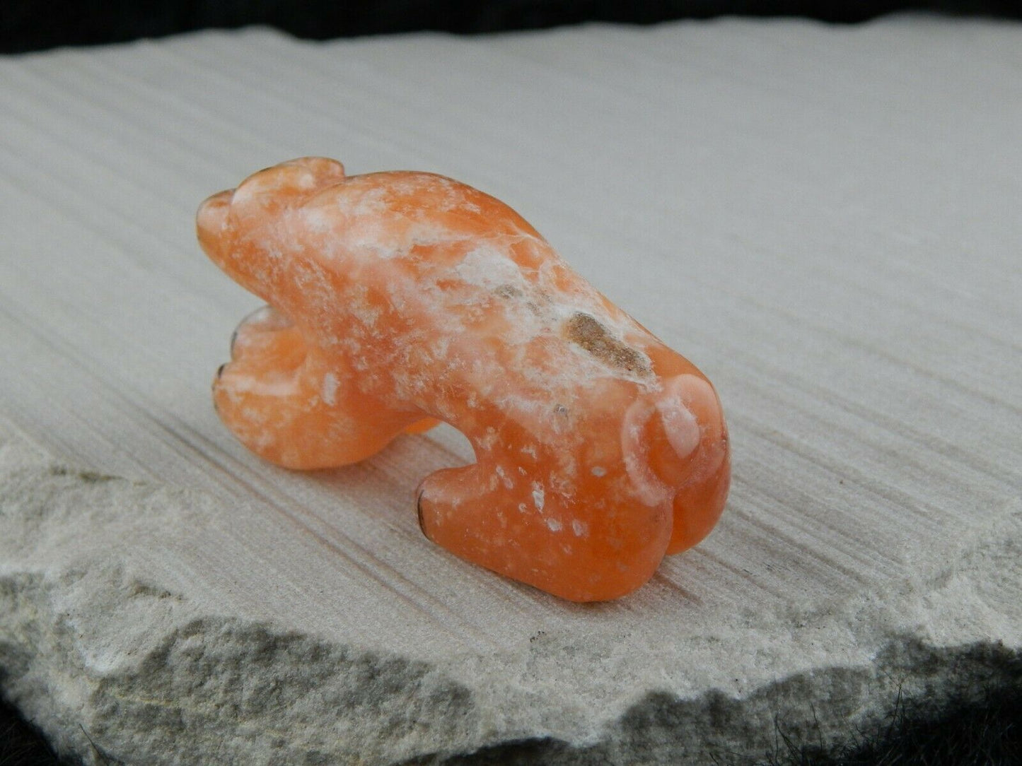 Bear Zuni Fetish Carving - Rickson Kallestewa - High Lonesome Trading