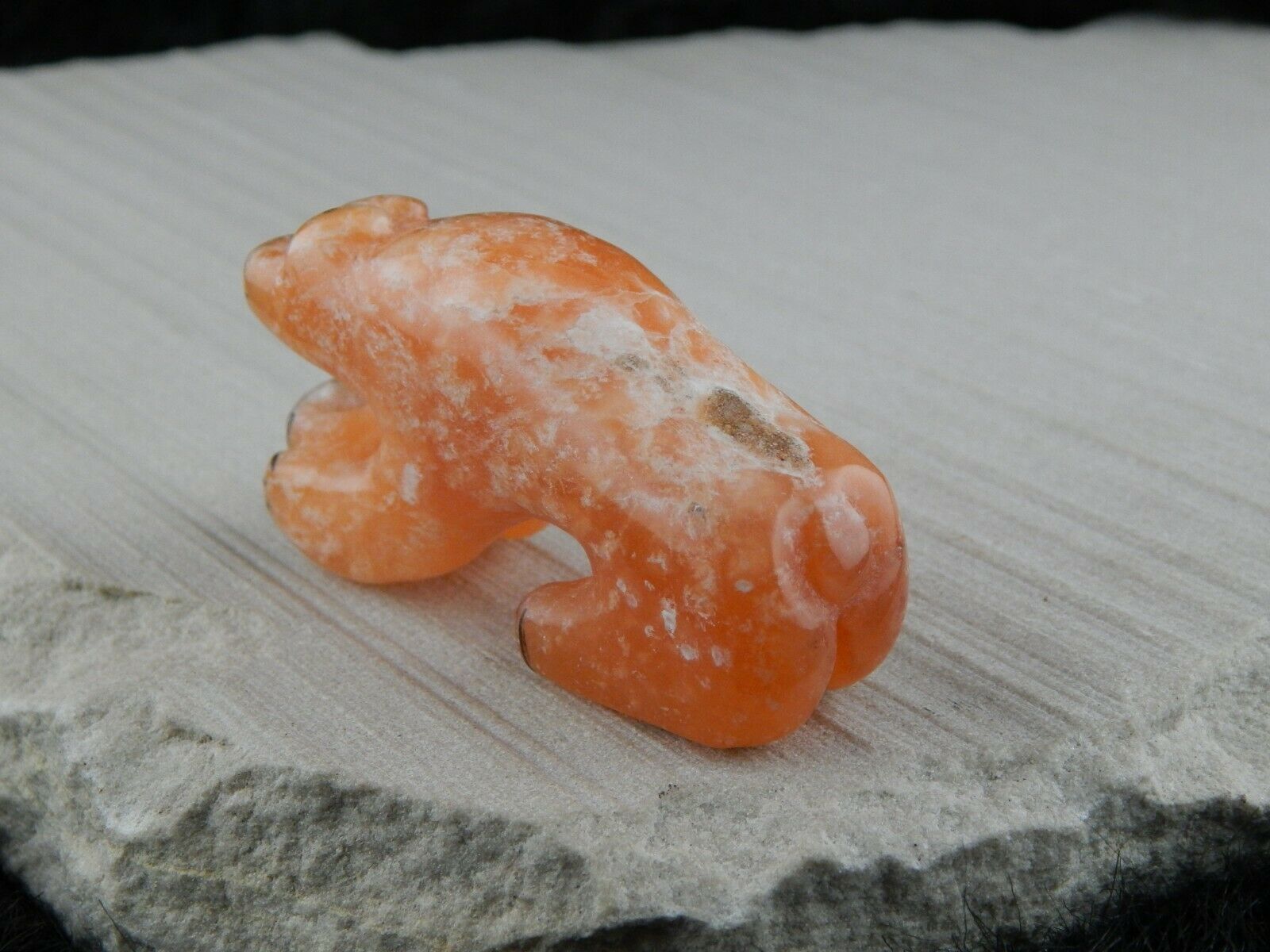 Bear Zuni Fetish Carving - Rickson Kallestewa - High Lonesome Trading