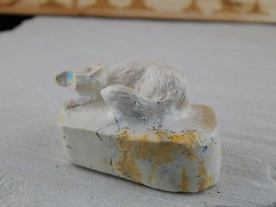 Coyote Zuni Fetish Carving - Sullivan Shebola - High Lonesome Trading
