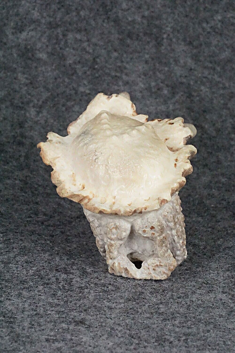 Crab Zuni Fetish Carving - Maxx Laate