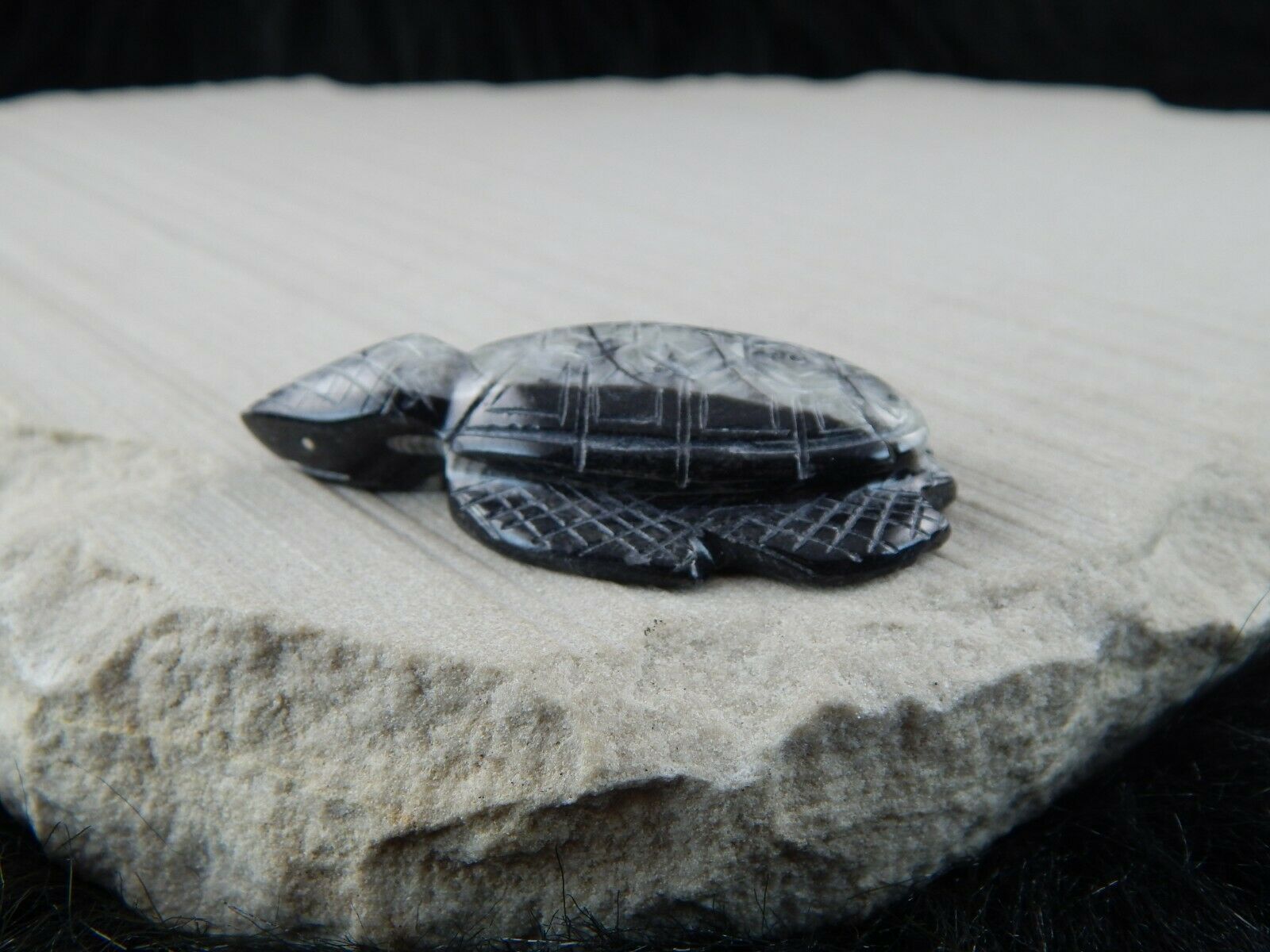 Turtle Zuni Fetish Carving - Kenny Cheama - High Lonesome Trading