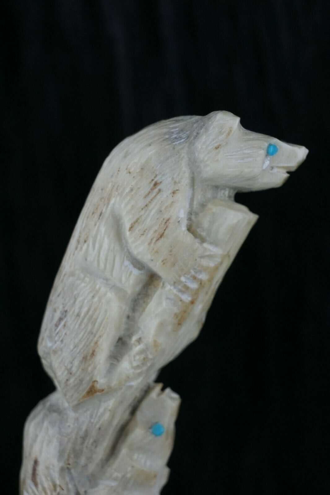 Bear Zuni Fetish Carving - Derrick Kaamasee - High Lonesome Trading