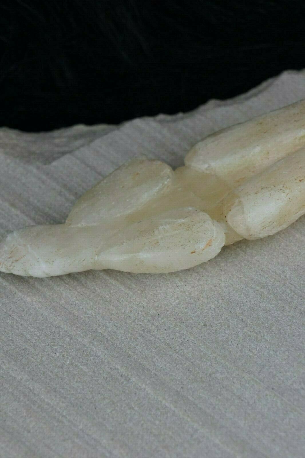 Badger Zuni Fetish Carving - Jonas Hastito - High Lonesome Trading