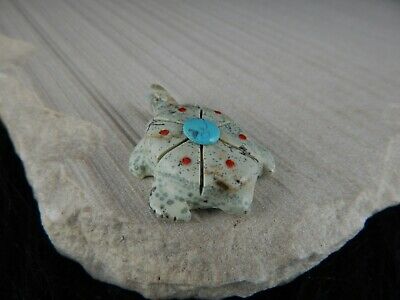 Turtle Zuni Fetish Carving - Kevin Quam - Zuni Turtle Carving - High Lonesome Trading