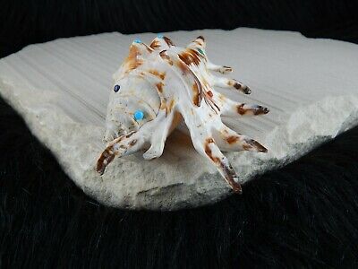 Sea Shell Zuni Fetish - Eric Lonjose - Zuni Sea Shell Carving - Native American - High Lonesome Trading