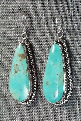 Turquoise and Sterling Silver Earrings - Brandon Belin