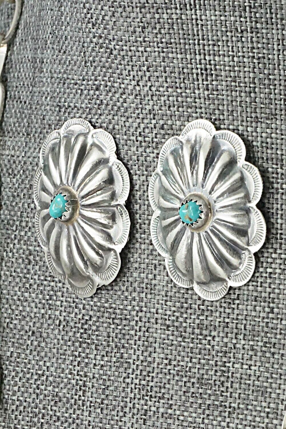 Turquoise & Sterling Silver Necklace and Earrings Set - Joan Begay