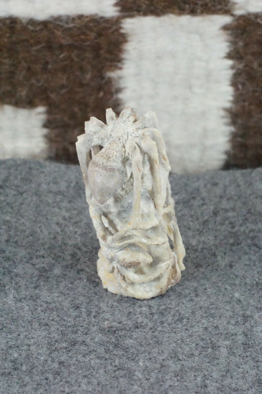 Spider Zuni Fetish Carving - Lewis Malie Jr.