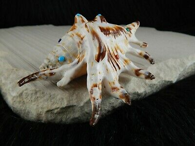 Sea Shell Zuni Fetish - Eric Lonjose - Zuni Sea Shell Carving - Native American - High Lonesome Trading