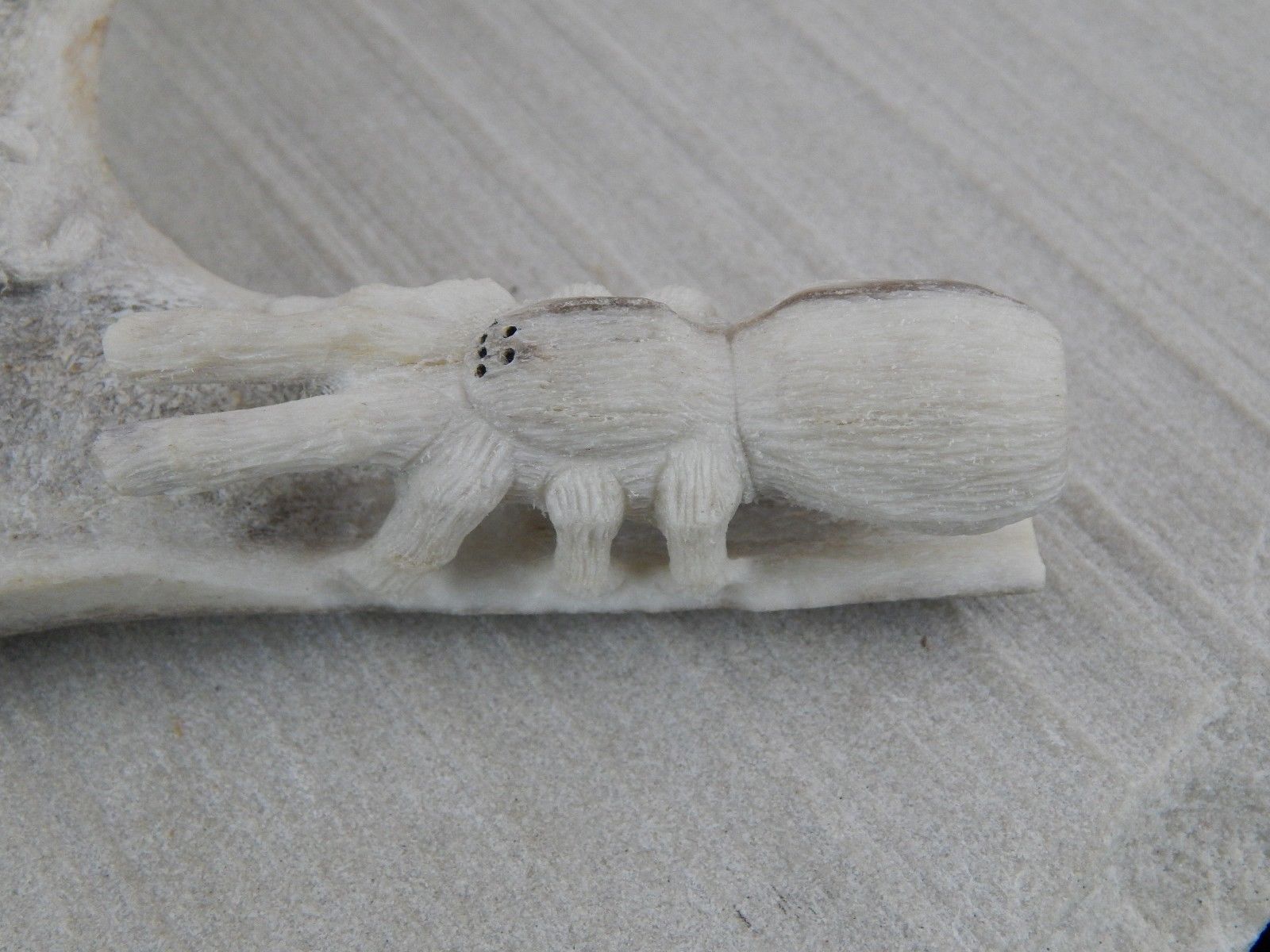 Spider & Bug Zuni Fetish Carving - Glenn Laate - High Lonesome Trading