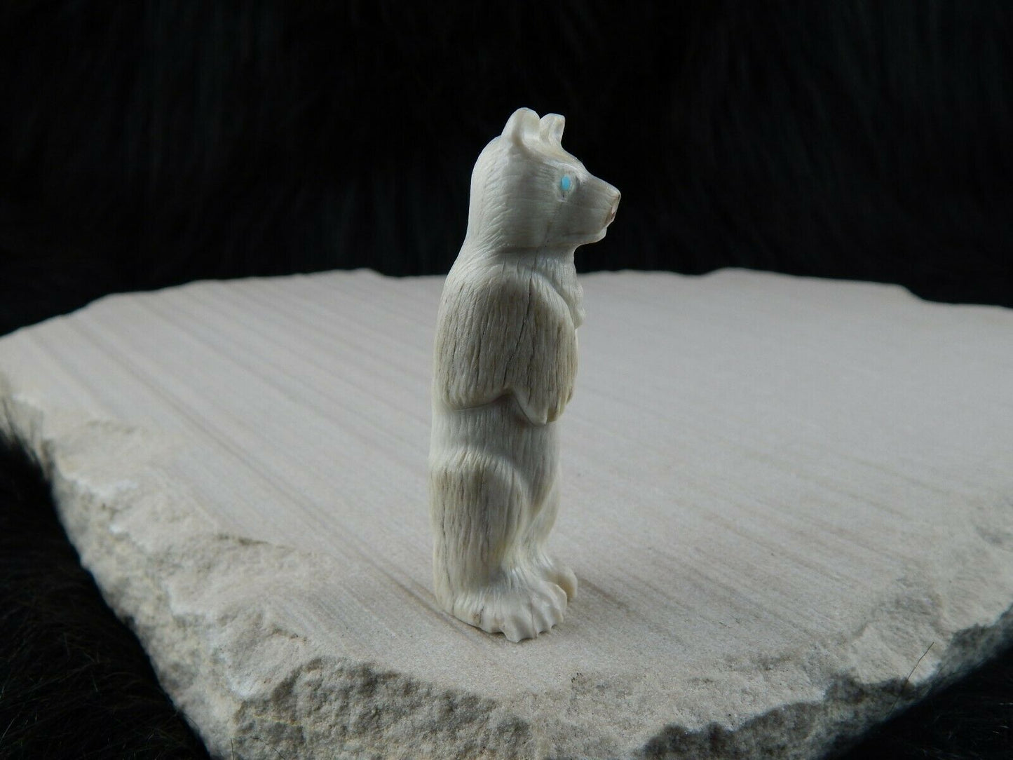 Bear Zuni Fetish Carving - Maxx Laate - High Lonesome Trading