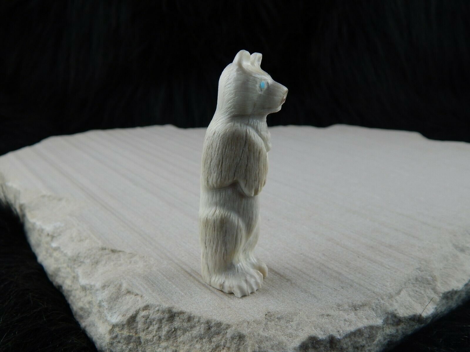 Bear Zuni Fetish Carving - Maxx Laate - High Lonesome Trading
