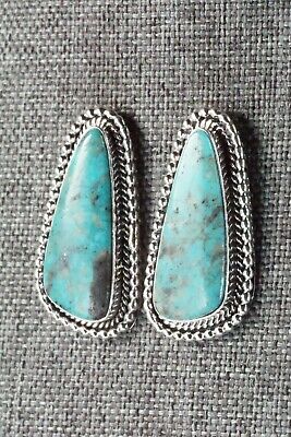 Turquoise & Sterling Silver Earrings - Annissa Martinez