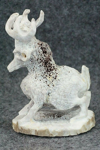 Deer Zuni Fetish Carving - Lewis Malie Jr.
