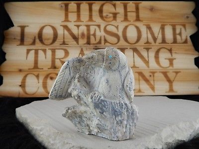 Eagle Zuni Fetish Carving - Evan Cachini - High Lonesome Trading