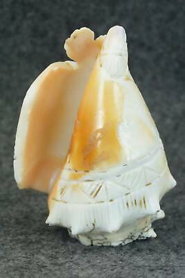 Corn Maiden Zuni Fetish Carving - Faye Quandelacy