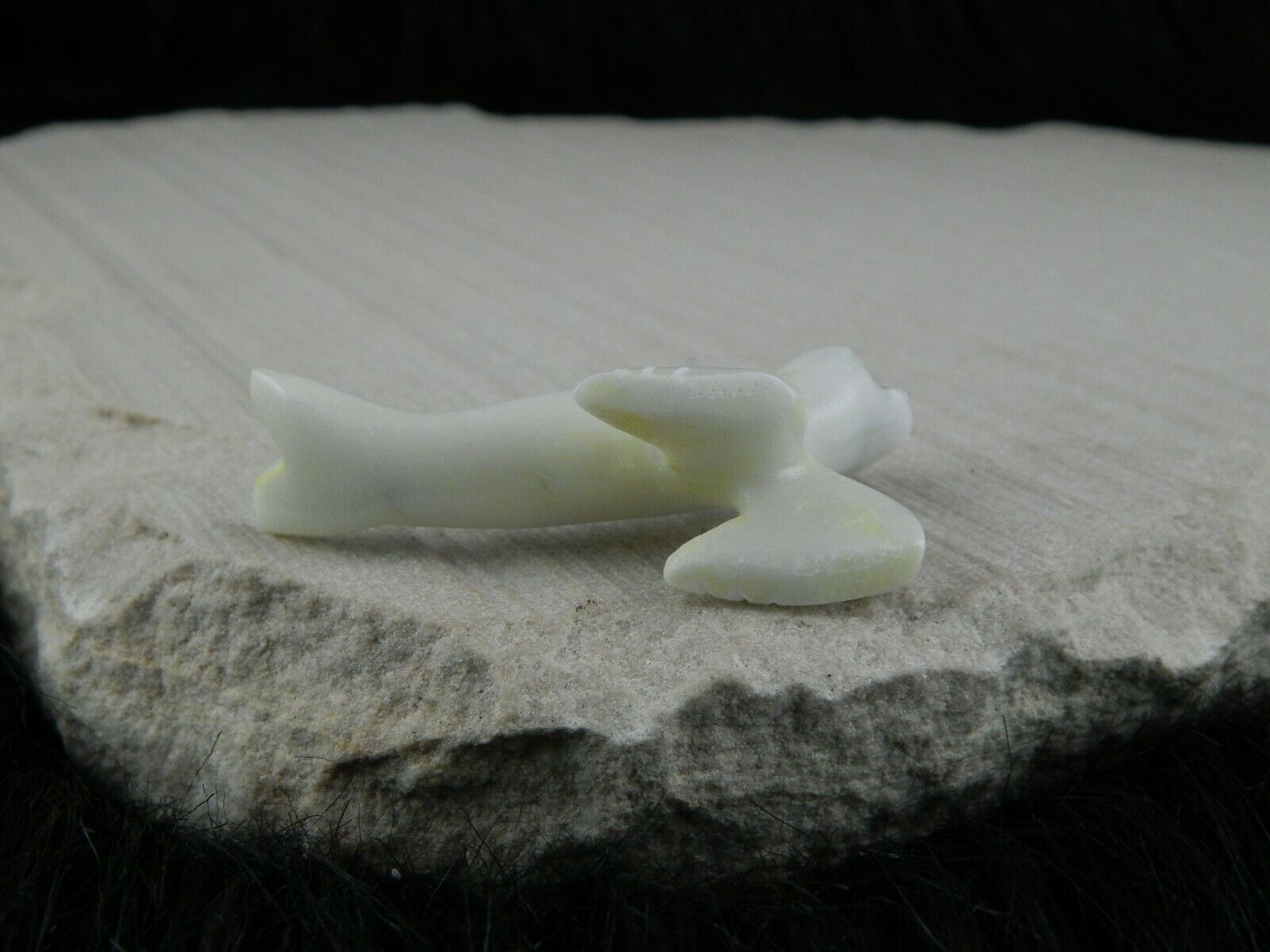 Seal Zuni Fetish Carving - Russell Shack - High Lonesome Trading