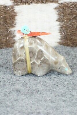 Bear Zuni Fetish Carving - Daphne Quam