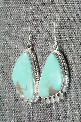 Turquoise and Sterling Silver Earrings - Sharon McCarthy