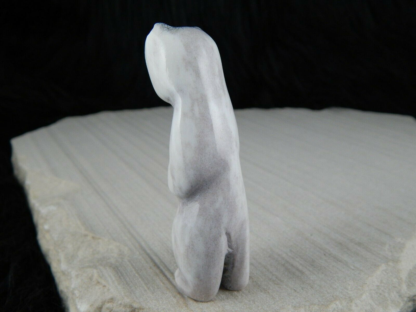 Bear Zuni Fetish Carving - Marlon Lowsayatee - High Lonesome Trading