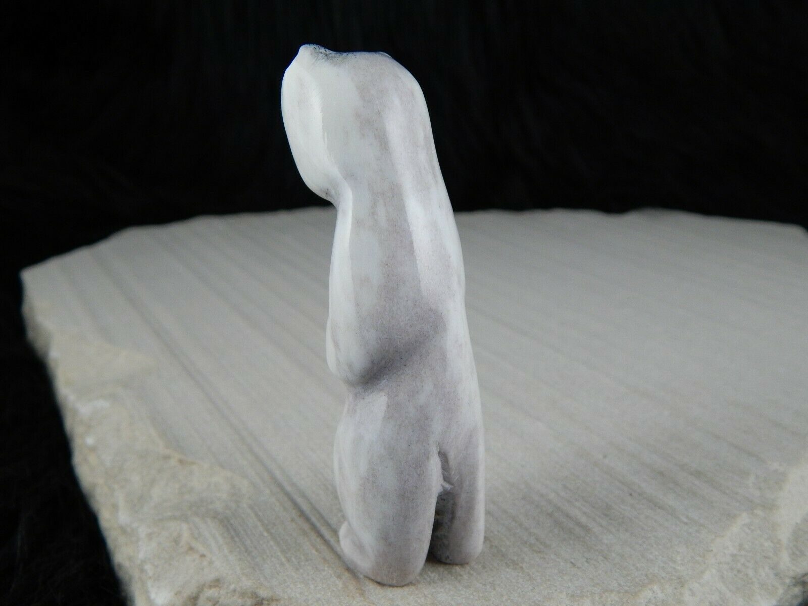 Bear Zuni Fetish Carving - Marlon Lowsayatee - High Lonesome Trading