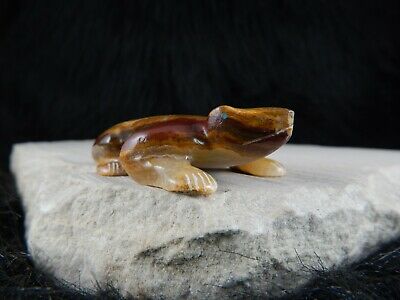 Frog Zuni Fetish Carving - Nelson Yatsattie - High Lonesome Trading