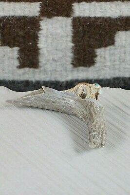 Beaver Zuni Fetish Carving - Sullivan Shebola - High Lonesome Trading