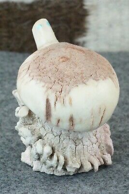Turtle Zuni Fetish Carving - Harvey Harker
