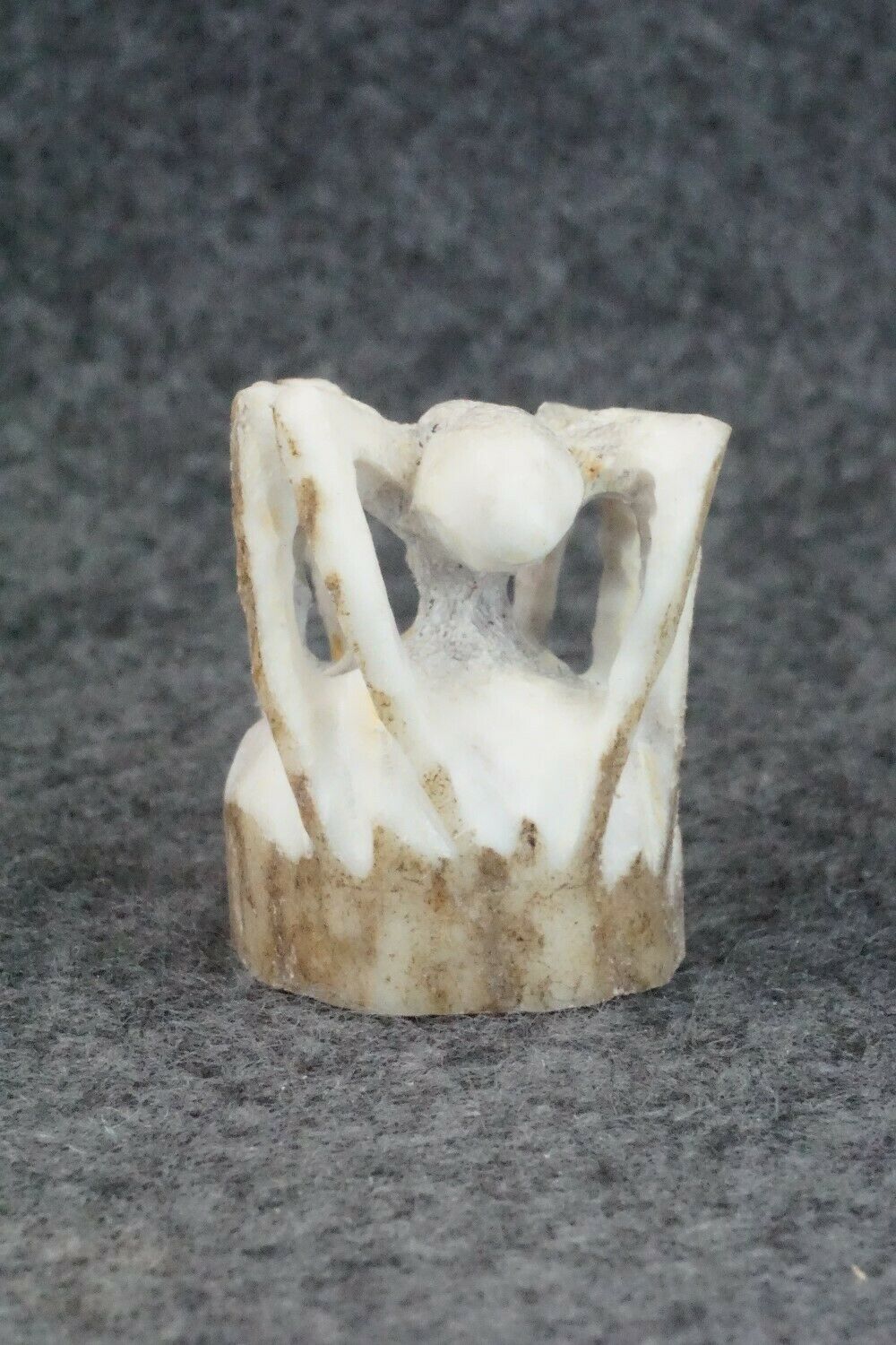Spider Zuni Fetish Carving - Lewis Malie Jr.