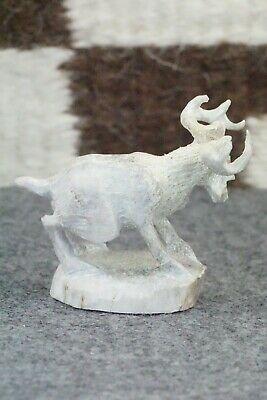Deer Zuni Fetish Carving - Lewis Malie Jr. - High Lonesome Trading