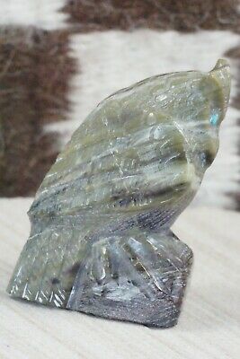Owl Zuni Fetish Carving - Derrick Kaamasee