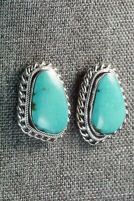 Turquoise and Sterling Silver Earrings - Sharon McCarthy