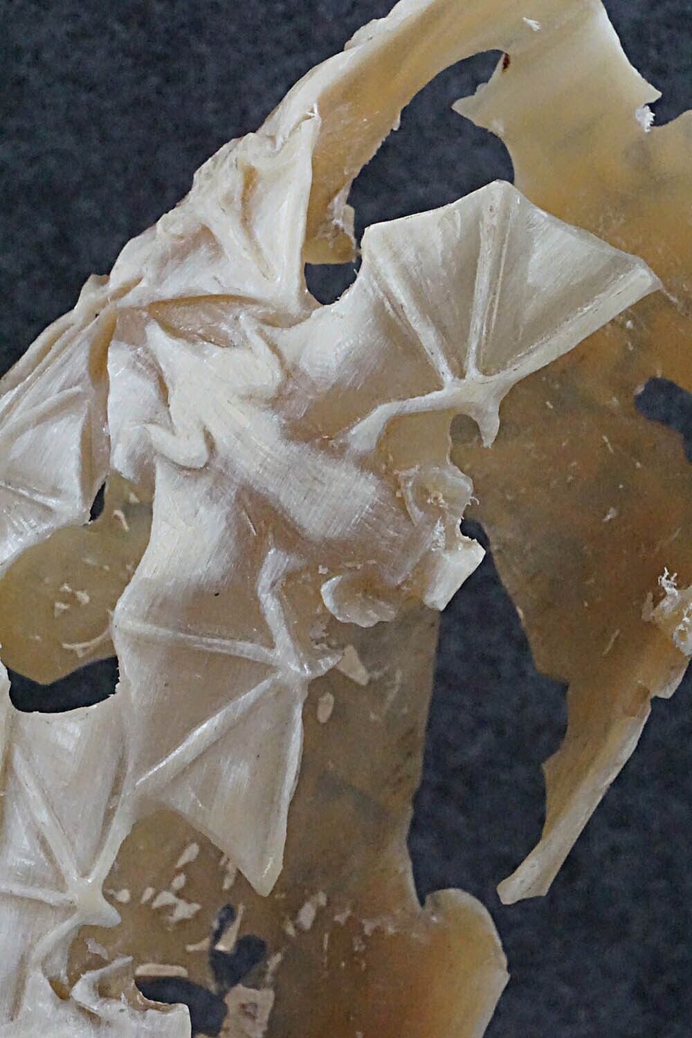 Bat Zuni Fetish Carving - Lewis Malie Jr.
