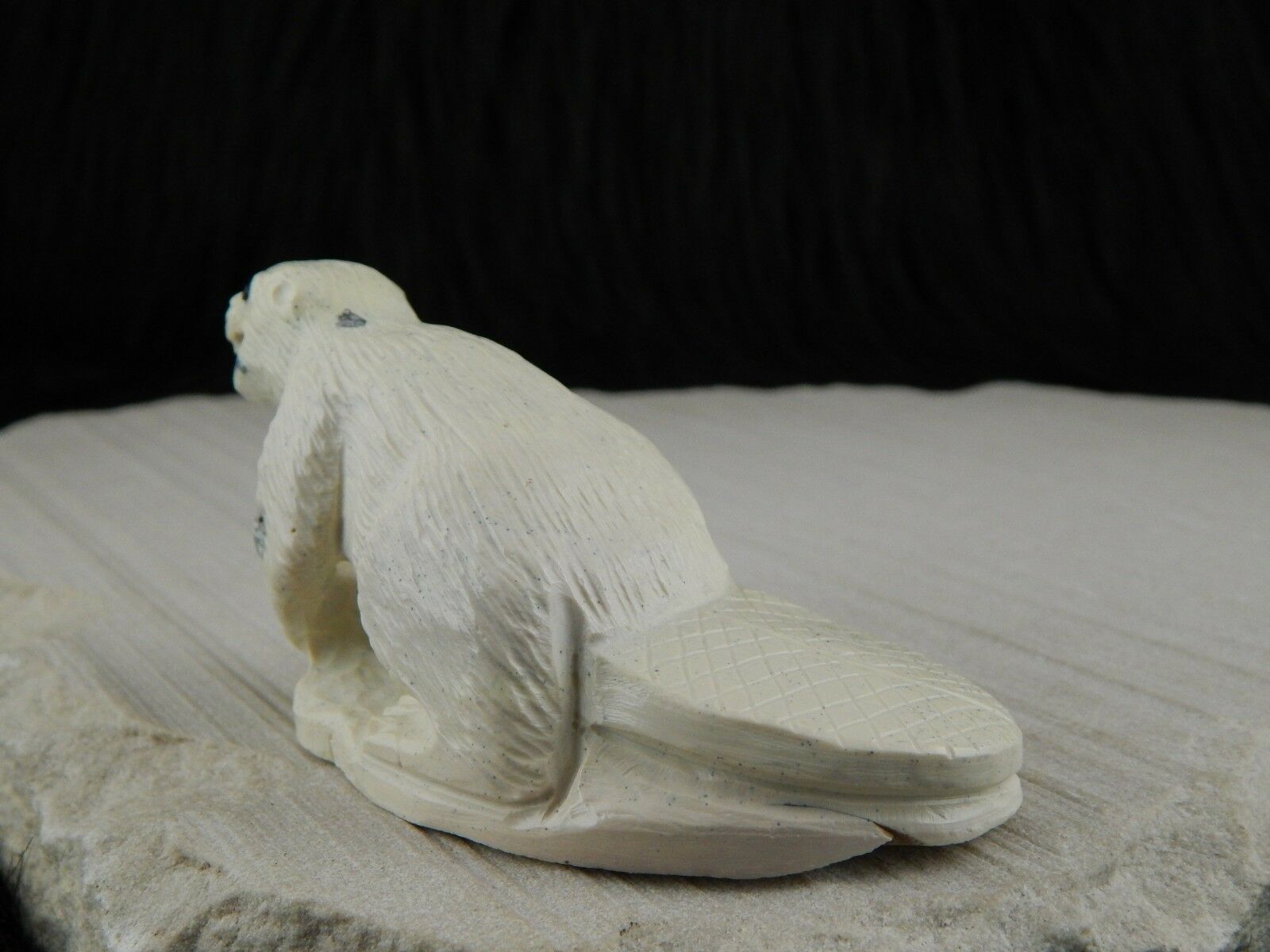 Beaver Zuni Fetish Carving- Derrick Kaamasee - High Lonesome Trading