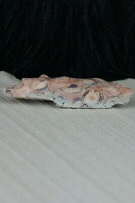 Wolf Zuni Fetish Carving - Kenny Chavez - High Lonesome Trading