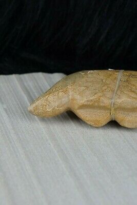 Wolf Zuni Fetish Carving - Delvin Leekya - High Lonesome Trading