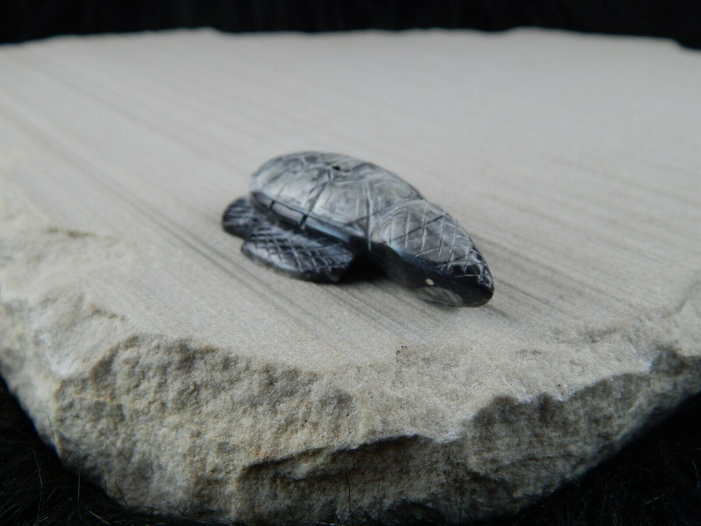 Turtle Zuni Fetish Carving - Kenny Cheama - High Lonesome Trading
