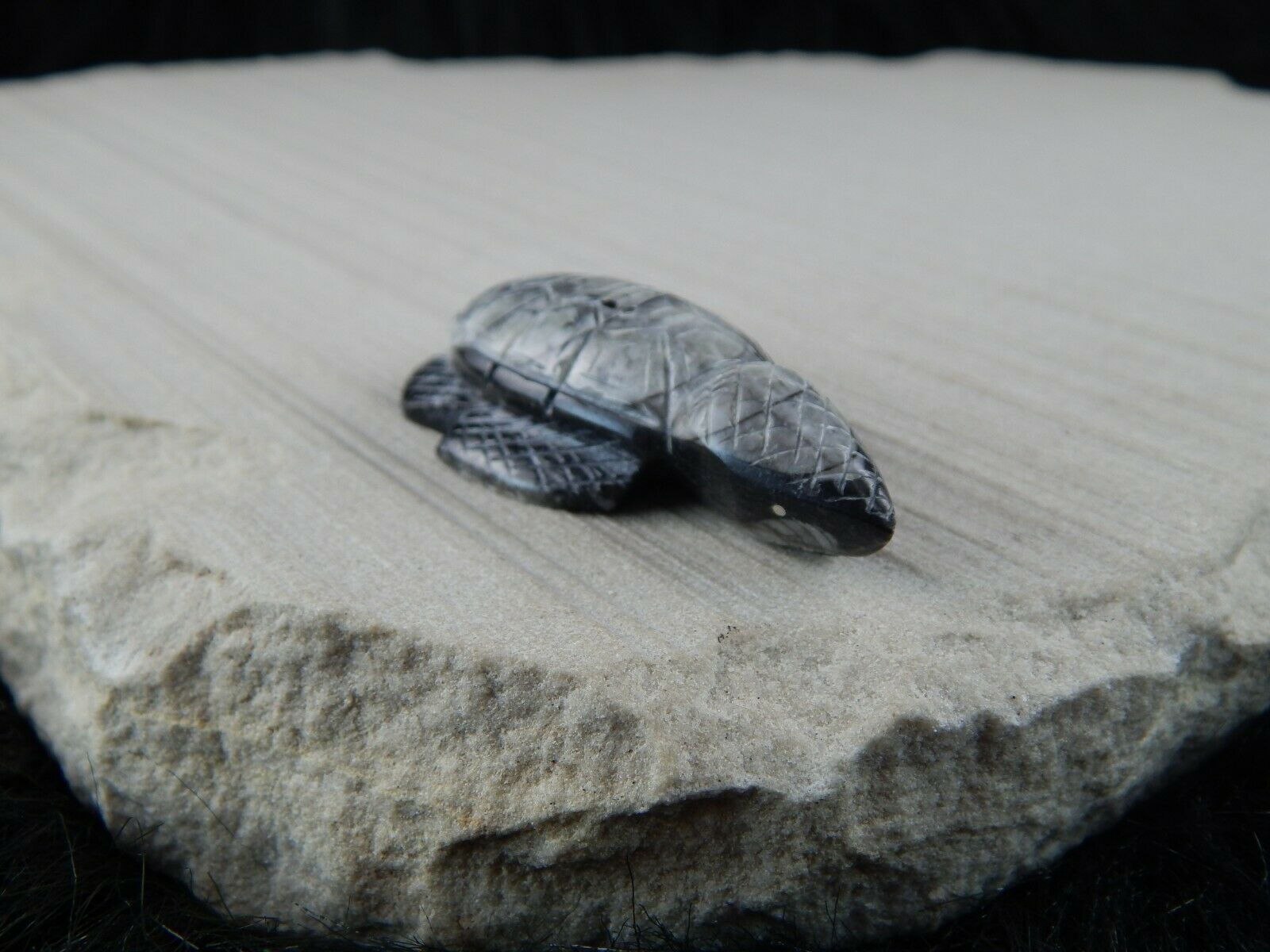 Turtle Zuni Fetish Carving - Kenny Cheama - High Lonesome Trading