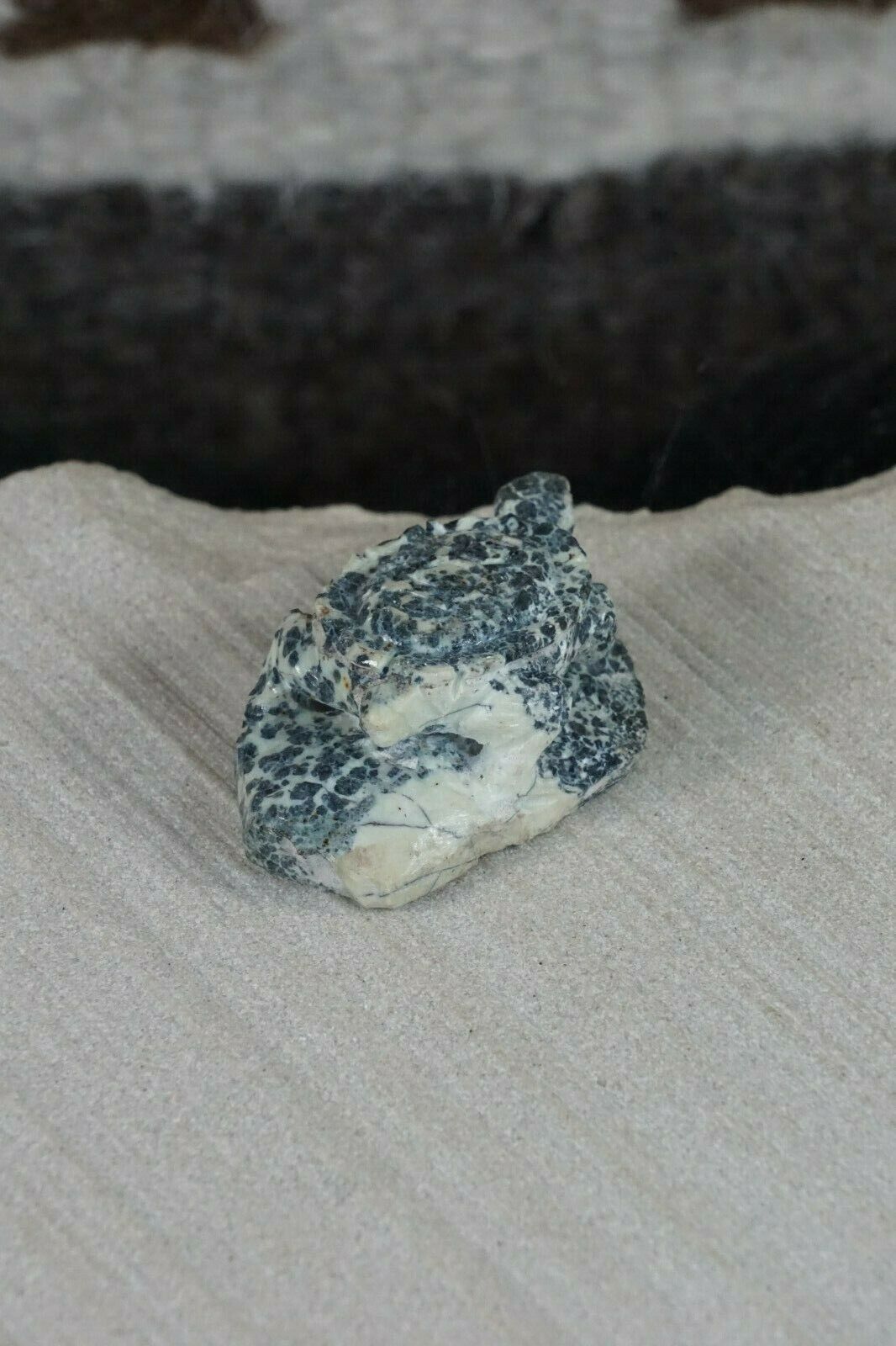 Turtle Zuni Fetish Carving - Lewis Malie Jr - High Lonesome Trading