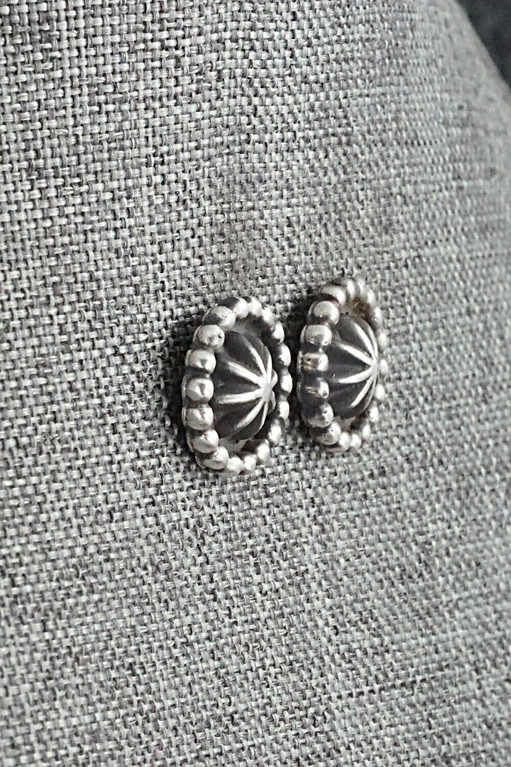 Sterling Silver Earrings - Etta Larry